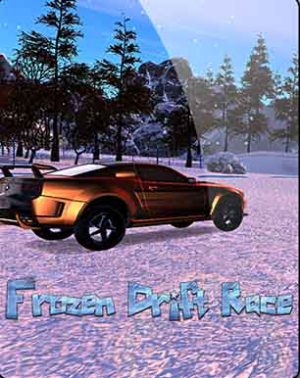 Frozen Drift Race